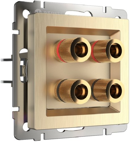 Розетка аудио без рамки Werkel 2-м. шампань рифленый фото Розетка аудио без рамки Werkel 2-м. шампань рифленый картинка